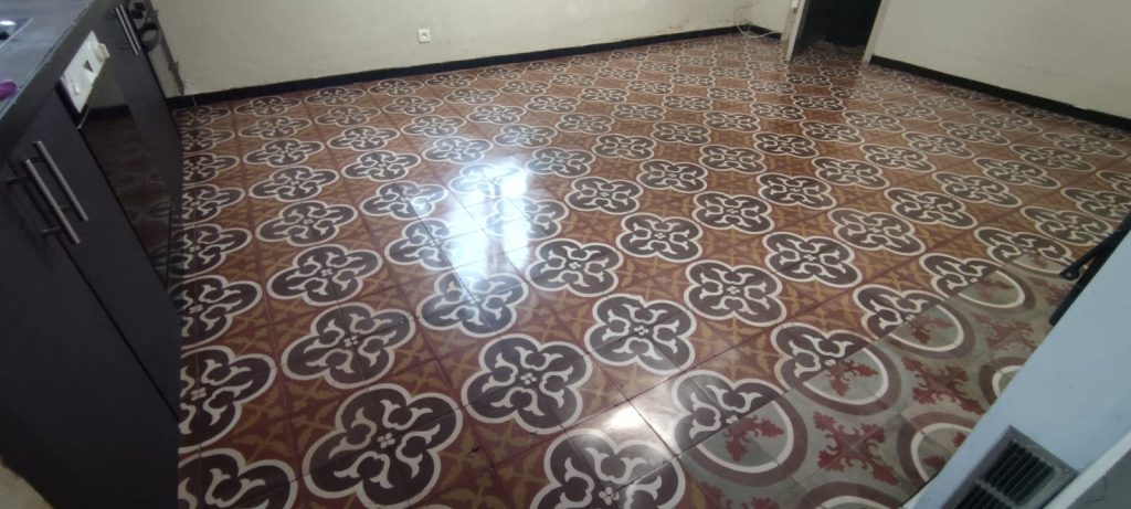 Carreaux de ciment après traitement par cristallisation à Corscia