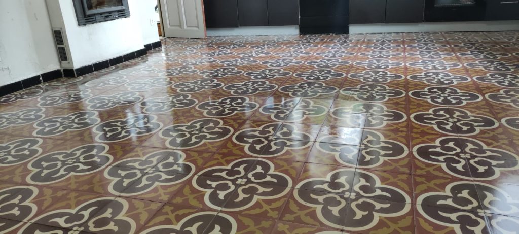Carreaux de ciment après traitement par cristallisation à Corscia