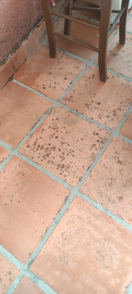 avant renovation taches moisissures profondes dalles terre cuite terrasse Luri