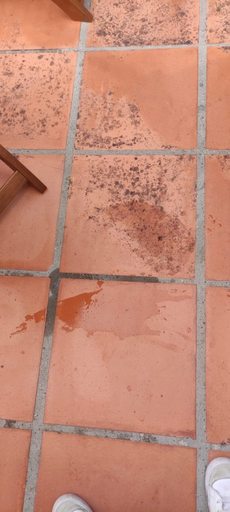 avant renovation moisissures noires incrustées surface terre cuite terrasse Cap Corse